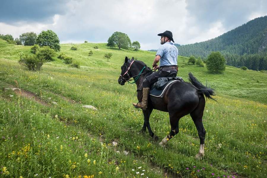 Езда в парк Мурсалица