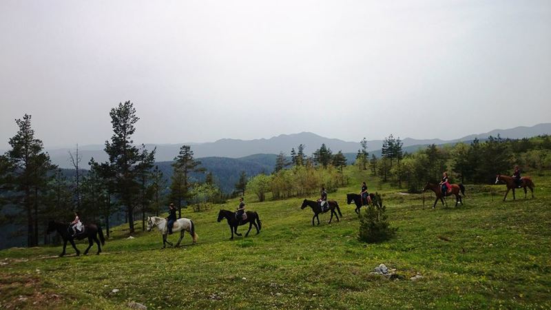 До различни местности в района на базата