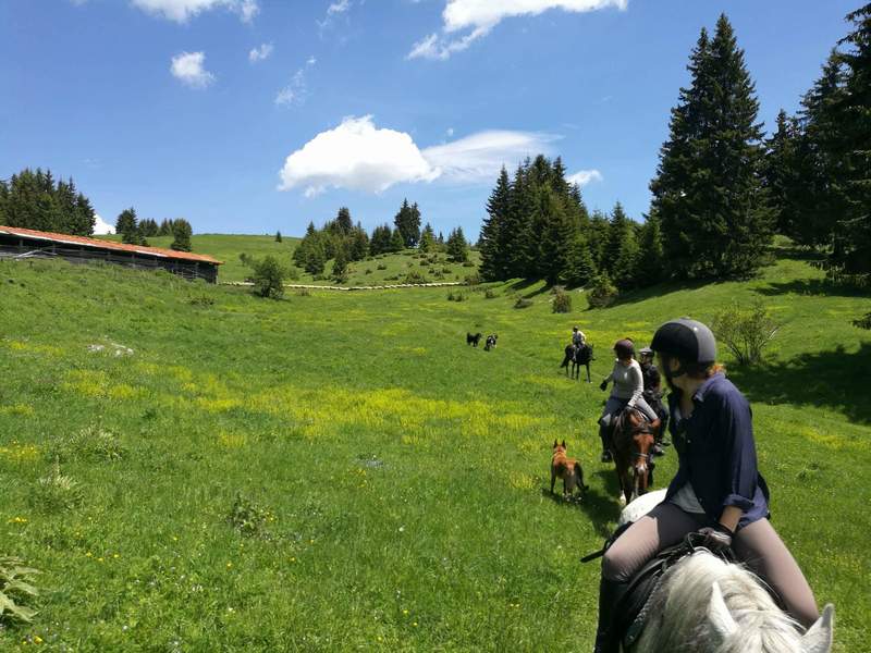 Mursalitsa national park trail - Rhodope mountains