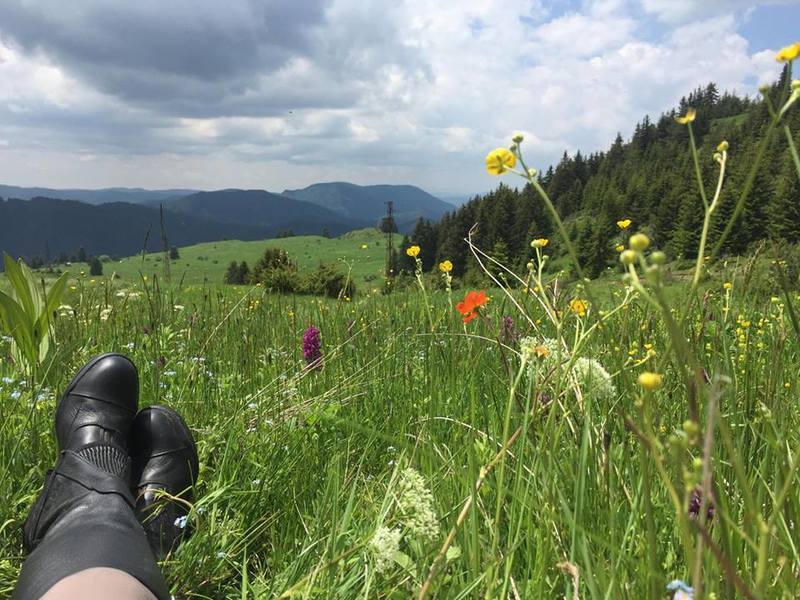 Mursalitsa national park trail - Rhodope mountains