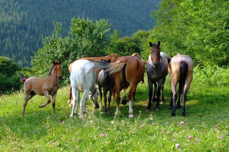 Kosowo village - the place where ancient history comes alive