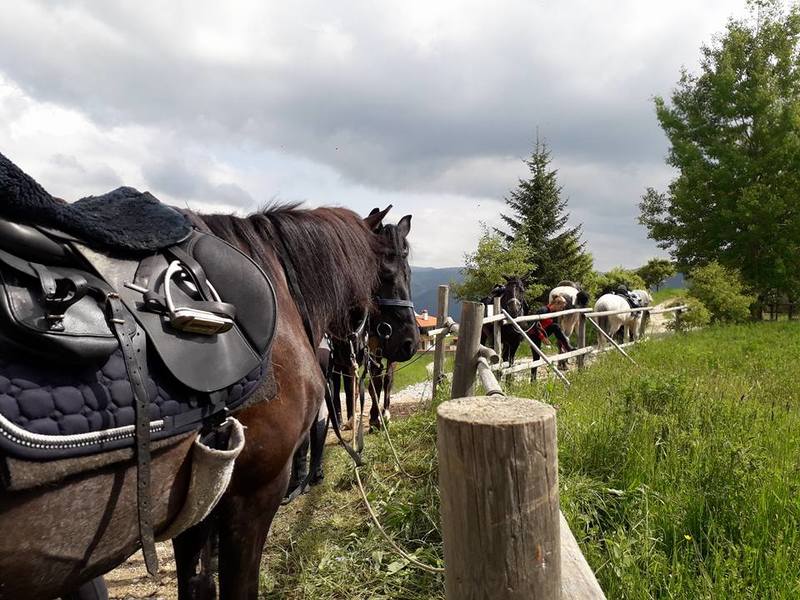 Mursalitsa national park trail - Rhodope mountains