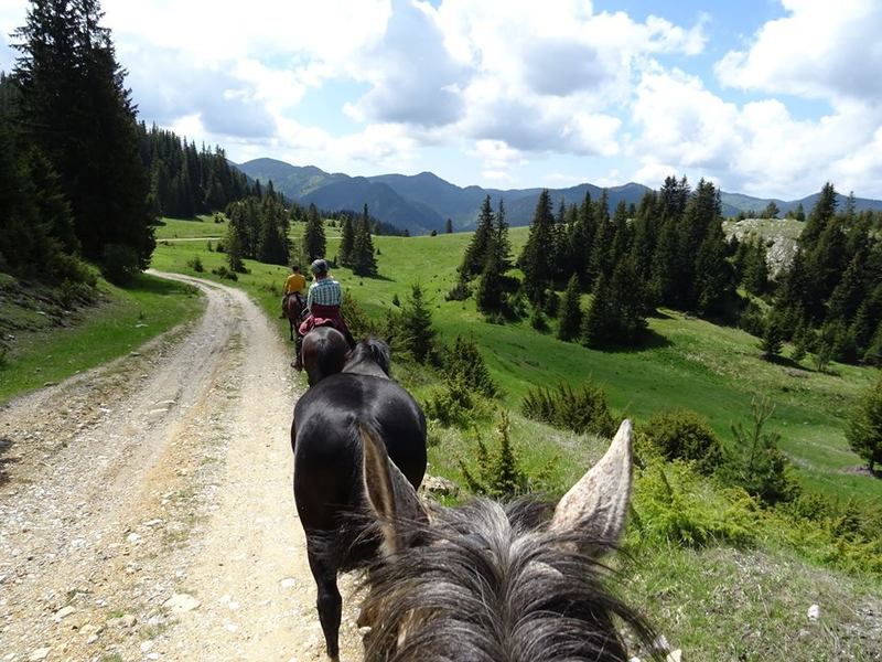 Mursalitsa national park trail - Rhodope mountains