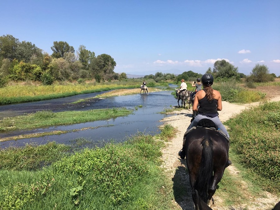 Riding and SPA in the Kingdom of Thracians