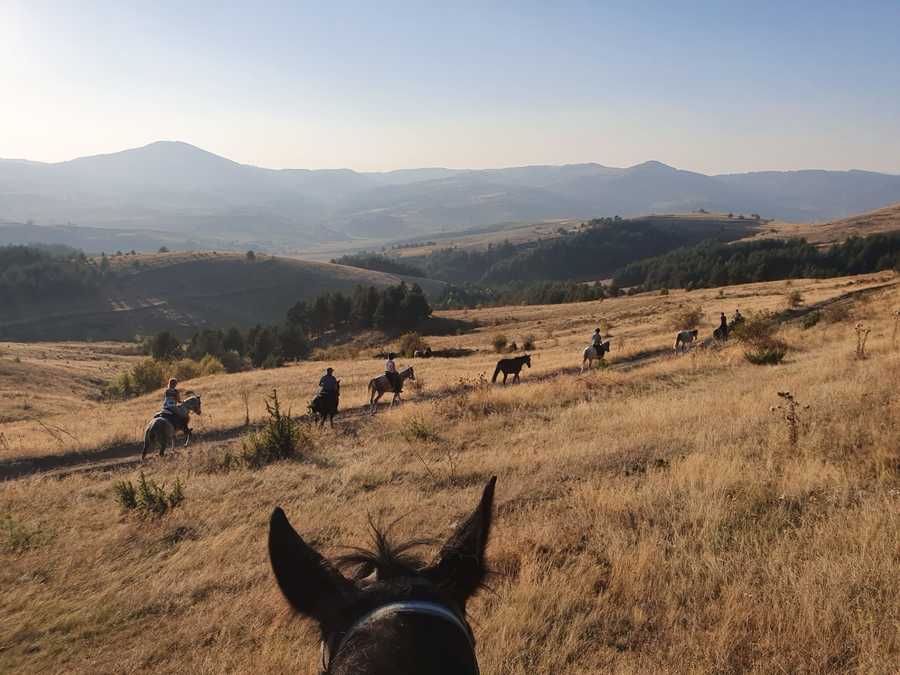 Riding and SPA in the Kingdom of Thracians