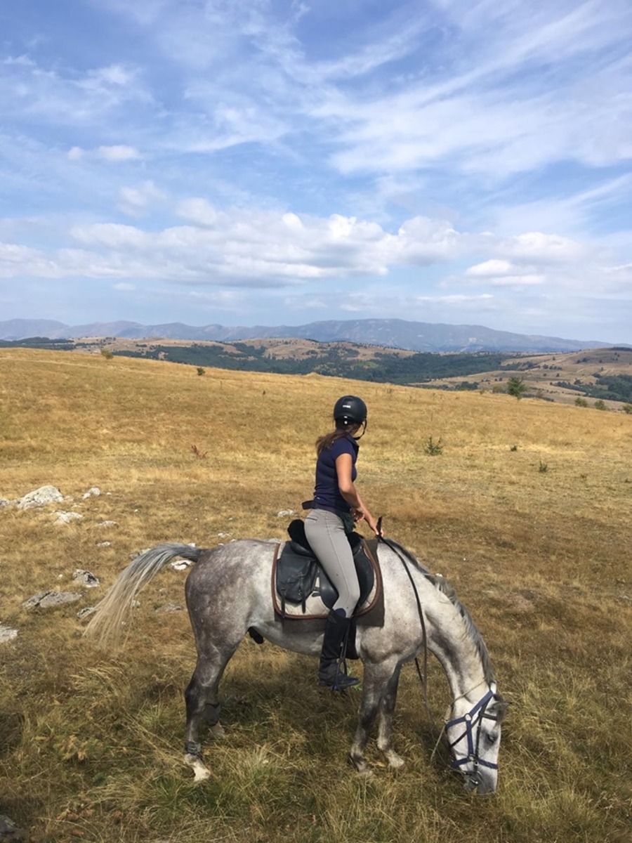 Riding and SPA in the Kingdom of Thracians