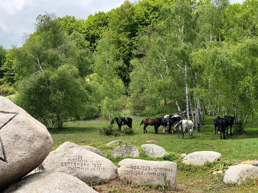 Riding and SPA in the Kingdom of Thracians