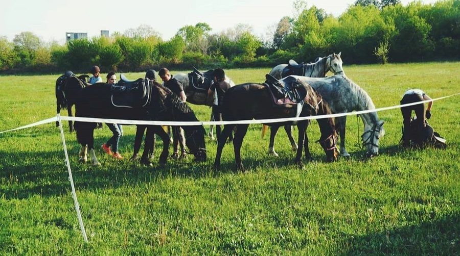 Riding and SPA in the Kingdom of Thracians