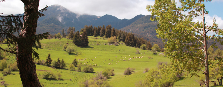 Mursalitsa national park trail - Rhodope mountains