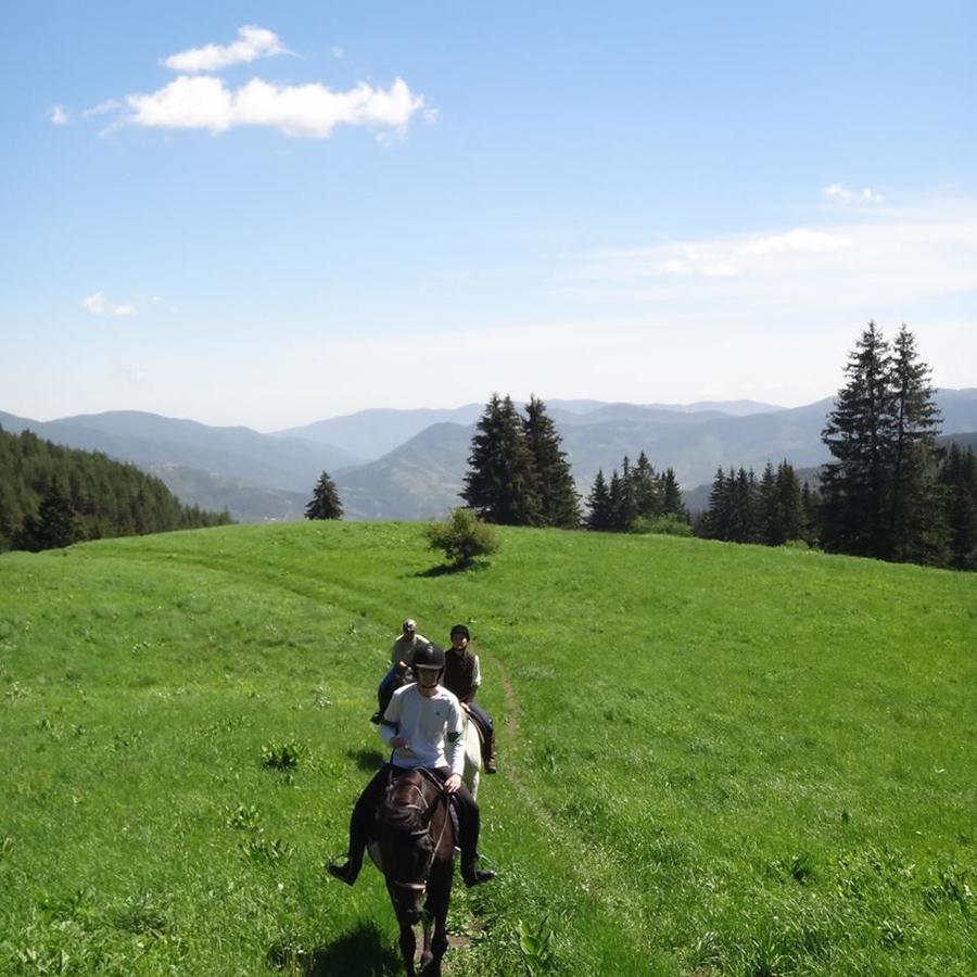 Mursalitsa national park trail - Rhodope mountains