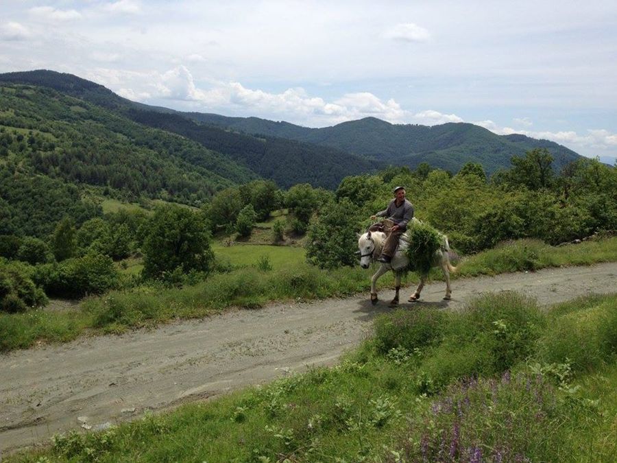 Езда в Царството на Орфей