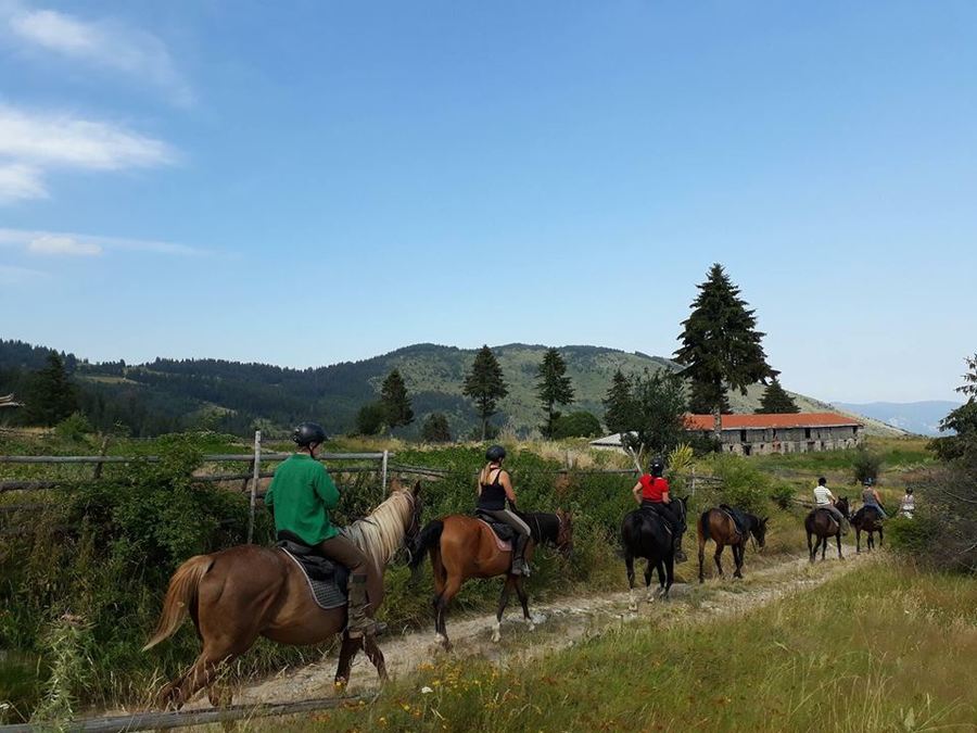 Kingdom of Orpheus - Rhodope mountains