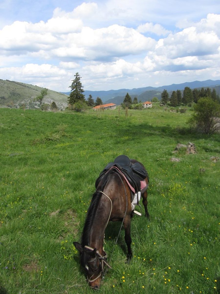 Kingdom of Orpheus - Rhodope mountains