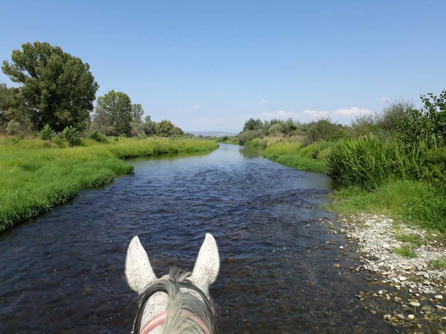 Riding and SPA in the Kingdom of Thracians
